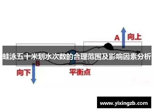 蛙泳五十米划水次数的合理范围及影响因素分析